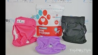 Pet Parents Washable Dog Diapers Review [upl. by Barthel169]