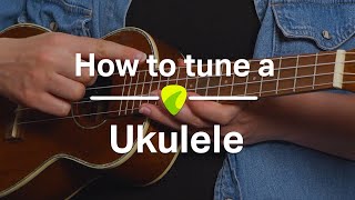 Ukulele Tutorial How To Tune a Ukulele [upl. by Jonie642]