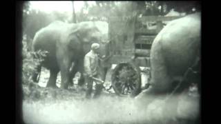 Grafton North Dakota 1930 Circus [upl. by Eniamrahs]