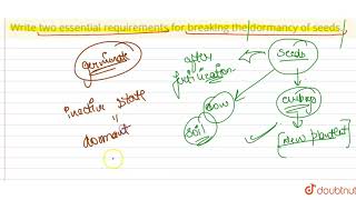 Write two essential requirements for breaking the dormancy of seeds [upl. by Highams]