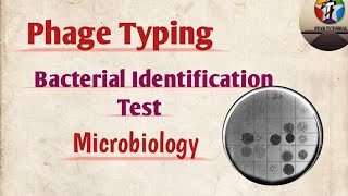 Phage Typing ll Bacterial identification test ll Microbiology [upl. by Arrakat22]