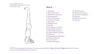 Week 8 Learning and Practicing Iyengar Yoga for Beginners [upl. by Hnad805]