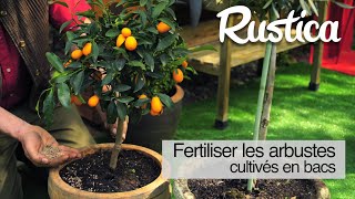 Fertiliser les arbustes cultivés en pot [upl. by Kirit388]