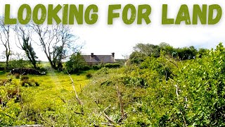 Finding Land and Ruins for Off Grid Living  Moving to Ireland [upl. by Enella27]