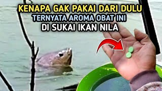 UMPAN IKAN NILA INI TERNYATA AMPUHCampuran Lumut [upl. by Quill593]