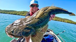 Catching 🐊HUGE FLATHEAD🐊fishing the flats [upl. by Jollenta]