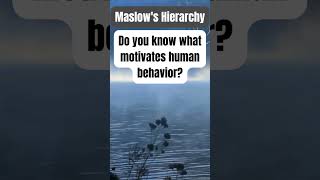 Maslows Hierarchy facts cognitivepsychology psychologyfacts motivation [upl. by Som]