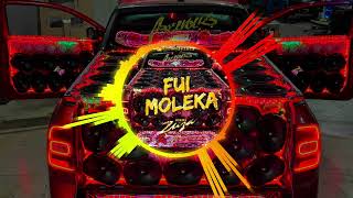 FUI MOLEKA  ELETROFUNK djzuza [upl. by Findlay]