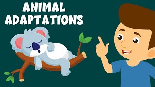 Animal Adaptations  Adaptation and Survival  Animal Adaptations for Kids  Learning Junction [upl. by Atilef]