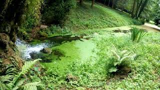 Discovering Stowe Gardens Part 2  Mon 5 Aug 2024  4K [upl. by Emma]