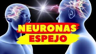 NEURONAS ESPEJO🧠 NEURONAS ESPECULARES  NEUROCIENCIA [upl. by Skipton129]