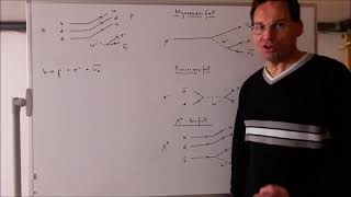 Elementarteilchenphysik 20 Teilchenreaktionen im Standardmodell der schwachen Wechselwirkung [upl. by Dihahs]