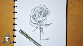 HOW TO DRAW A REALISTIC ROSE POINTILLISM DRAWING TECHNIQUE [upl. by Relyhs]