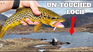 Catching Wild Trout in Remote Scottish Hill Lochs [upl. by Lumbard]