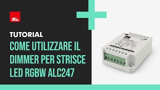 Come associare e utilizzare il dimmer per strisce LED RGBW ALC247  Procedura di reset a fine video [upl. by Ahtibbat]