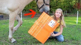 Mijn paard VERSTOORT de Epplejeck UNBOXING  WINACTIE [upl. by Galliett]