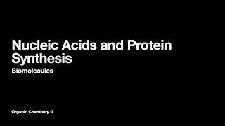 Nucleic Acids and Protein Synthesis  Biomolecules  Organic Chemistry II [upl. by Ttimme]