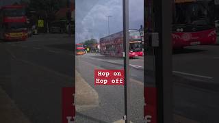 TOURIST BUS BUSY  HOP ON HOP OFF asmr short bus travel rositaegner1628 [upl. by Griswold]