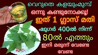 അറിയാതെ പോവല്ലേ ഇനി മരുന്നു കഴിക്കേണ്ട വെറും രണ്ടില മതി ഷുഗർ പ്രഷർ കൊളസ്ട്രോൾ ഇനി അടുക്കില്ല Uses [upl. by Llenyr]