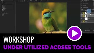 Under Utilized ACDSee Tools [upl. by Edualcnaej521]