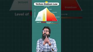 YerkesDodson Law explained by Dr Arvind Otta Clinical Psychologist psychology upseducation [upl. by Ver220]