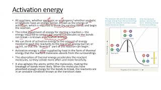 Activation energy apbiology ibbiology neetbiology enzymes lifescience biomolecules [upl. by Una]