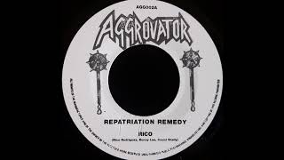 RICO  Repatriation Remedy [upl. by Ahsieyn]