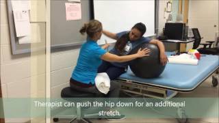 Neuromuscular Reeductaion Sitting Exercises [upl. by Adnawt]