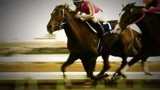 2013年 有馬記念 JRA CM THE LEGEND テイエムオペラオー 30秒ver [upl. by Anyat]