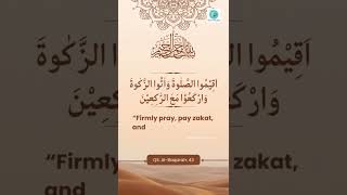 “Firmly pray pay zakat and bow with those who bow”utubeshorts islamicstatus zakat [upl. by Sherlock]