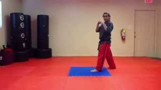 Jumping Roundhouse Kick Tutorial [upl. by Ntsud911]