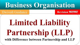 Limited Liability Partnership LLP form of business organisations Business Organisation bcom [upl. by Ormsby875]