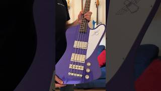 Epiphone Thunderbird ‘64 Bass Unboxing zZounds Exclusive [upl. by Shrier]