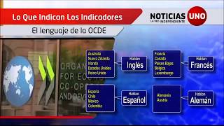 Indicadores Los idiomas que hablan en la OCDE [upl. by Dinny]