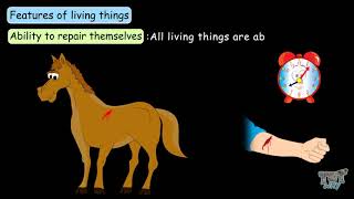 Characteristics of Living Things  Science  Grade78 Tutway [upl. by Tnomad371]