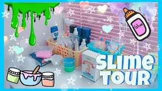 SLIME TOUR где я храню всё для слаймов  мои ингредиенты для слаймов [upl. by Ydwor]