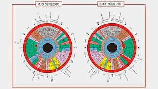 Iriología cómo ver a través del ojo si una persona tiene salud [upl. by Shu]