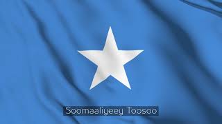 Soomaaliyeey toosoo No music  lyrics  Abdirashid M Kalmoy [upl. by Ateerys]