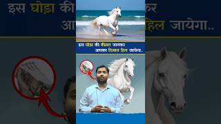 810CR 😱😳 Ek Ghoda Ki Kimat  Khan Sir Research Centre  ghoda horse khansir [upl. by Adnilemre]