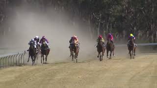 Stanthorpe 21102023 Race 3 [upl. by Monro]