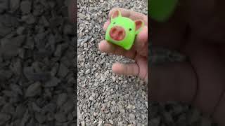 Pig 🐷 oinks oink shorts cocomelon asmr satisfying toys [upl. by Yehudit]