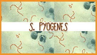 Streptococcus Pyogenes [upl. by Aran10]