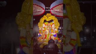 Nee Kondapai Rapincheko Om Namo Venkatesha 🙏sai bhakti tirupati tirumala devotional [upl. by Marks868]