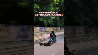 Z800 Sc project Sound Flames😱🔥kawasaki z800 shortvideo scproject rider biker shorts trend [upl. by Ardnyk]