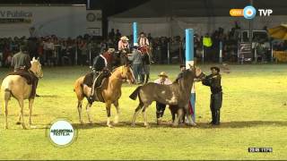 Doma en la Fiesta Nacional del Caldén 2016 Tanda 1 [upl. by Hatcher56]