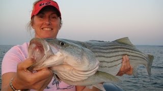 MONTAUK POINT MONSTER STRIPED BASS WITH KIDCOCHIESE amp CREW [upl. by Mcnamara634]