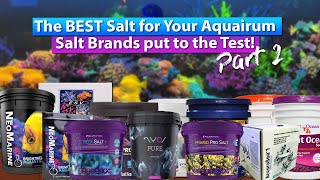 What is the Best salt for your reef tank The Ultimate Salt Test  Part 2 [upl. by Sarajane]