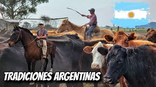 DOS días CAPANDO los TERNEROS y ARREANDO las VACAS a CABALLO 🇦🇷 CASTRANDOYERRA [upl. by Aznofla597]