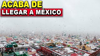 Ya se están congelando Fenómeno acaba de llegar a México Frente frio 40 azota hoy [upl. by Epilef]