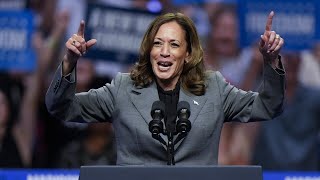 Kamala Harris latest ad campaign sets a new record for cringeworthy pandering [upl. by Warila463]